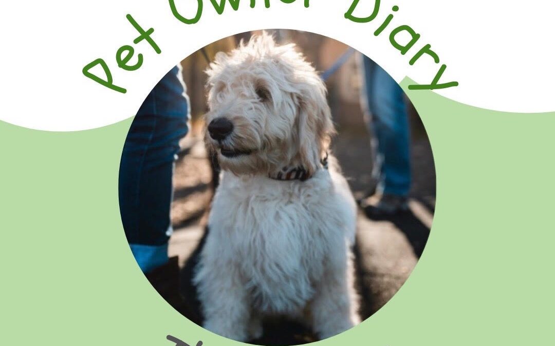 The Pet Owner Diary Show Podcast!