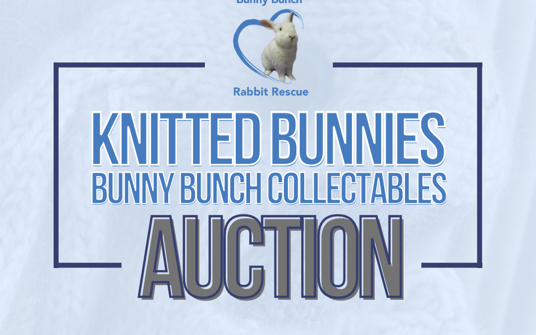 Bunny Bunch Collectibles Knitted Bunnies Fundraiser!