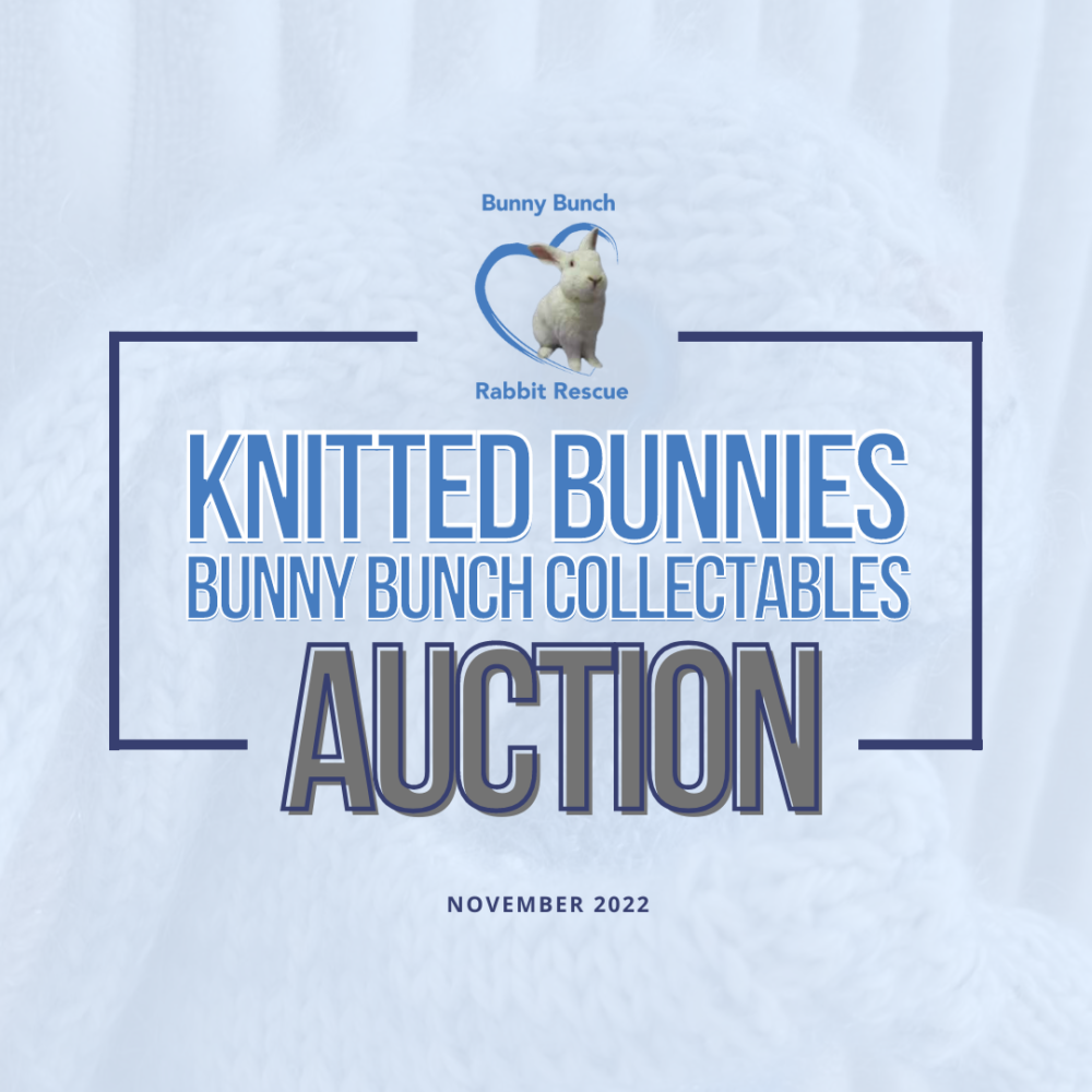 Bunny Bunch Collectibles Knitted Bunnies Fundraiser! The Bunny Bunch