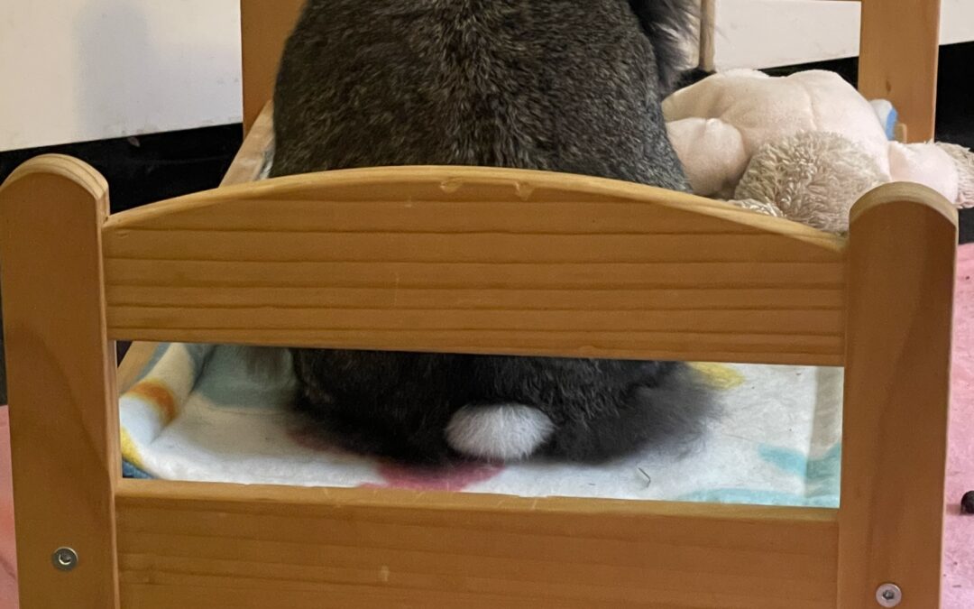 This Weeks Fluff Butt Friday!!