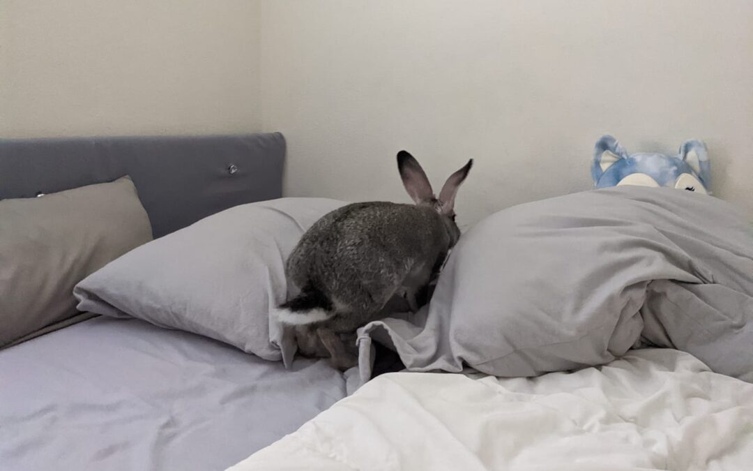 It’s our fav day – Fluff Butt Friday!!