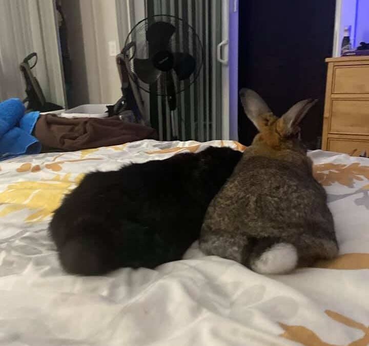 Happy Fluff Butt Friday!!