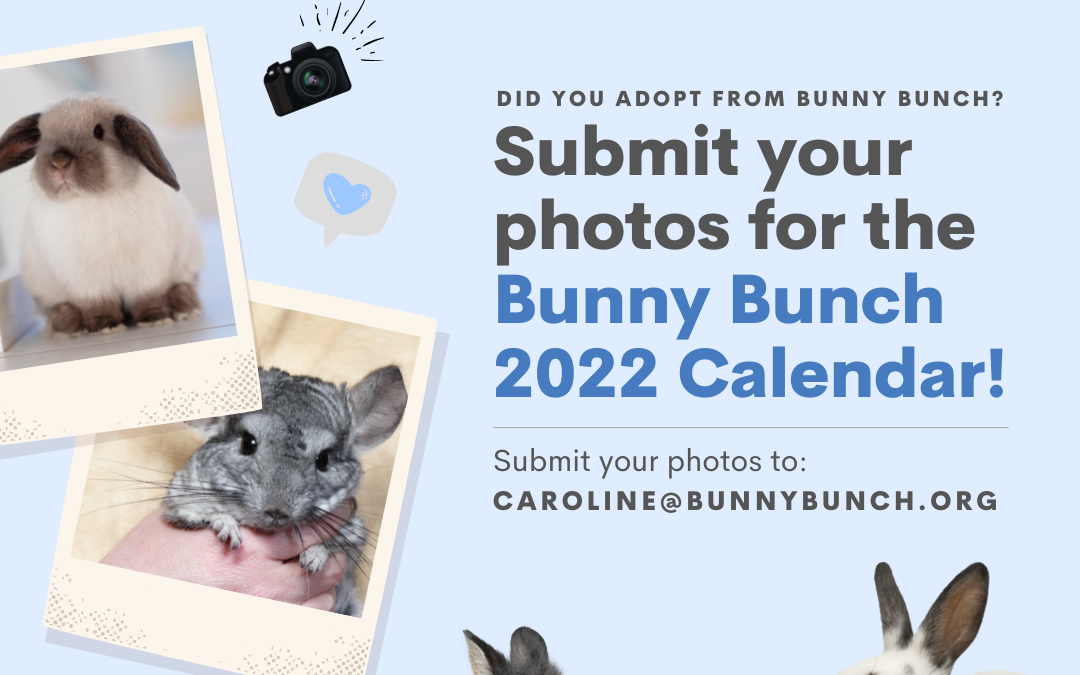 2022 Bunny Bunch Calendar
