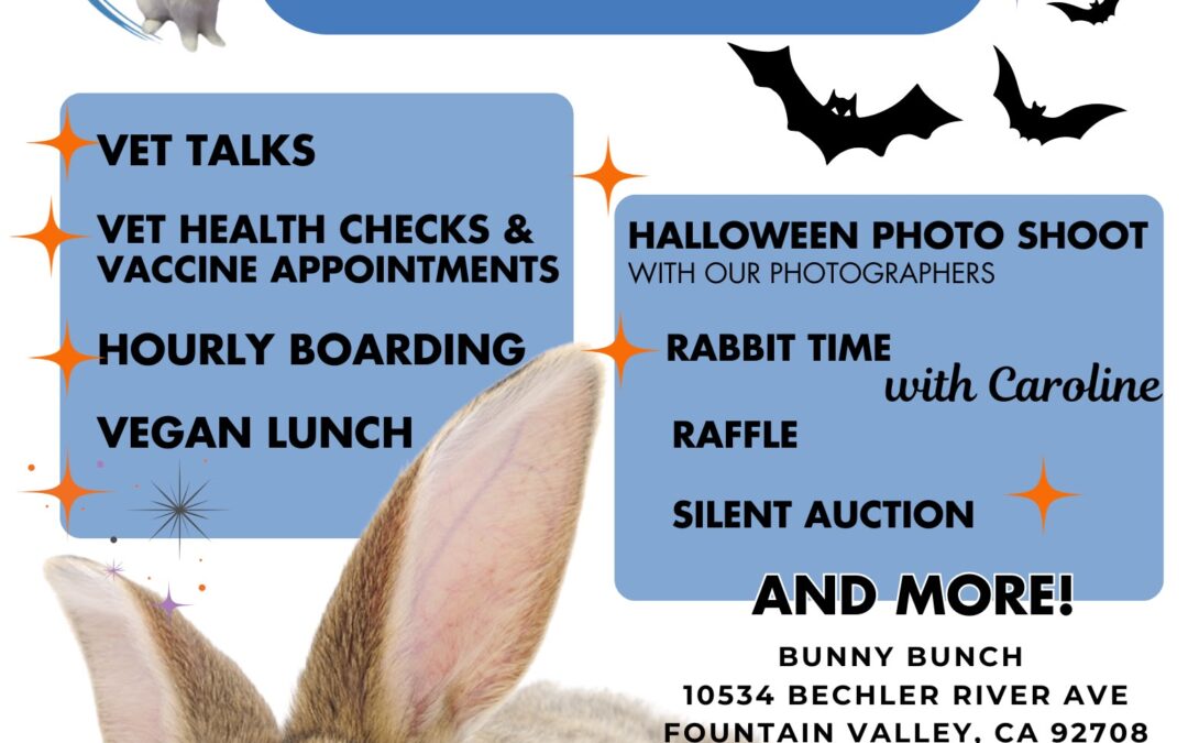 The Annual Bunny Bunch Expo is back for 2026!
