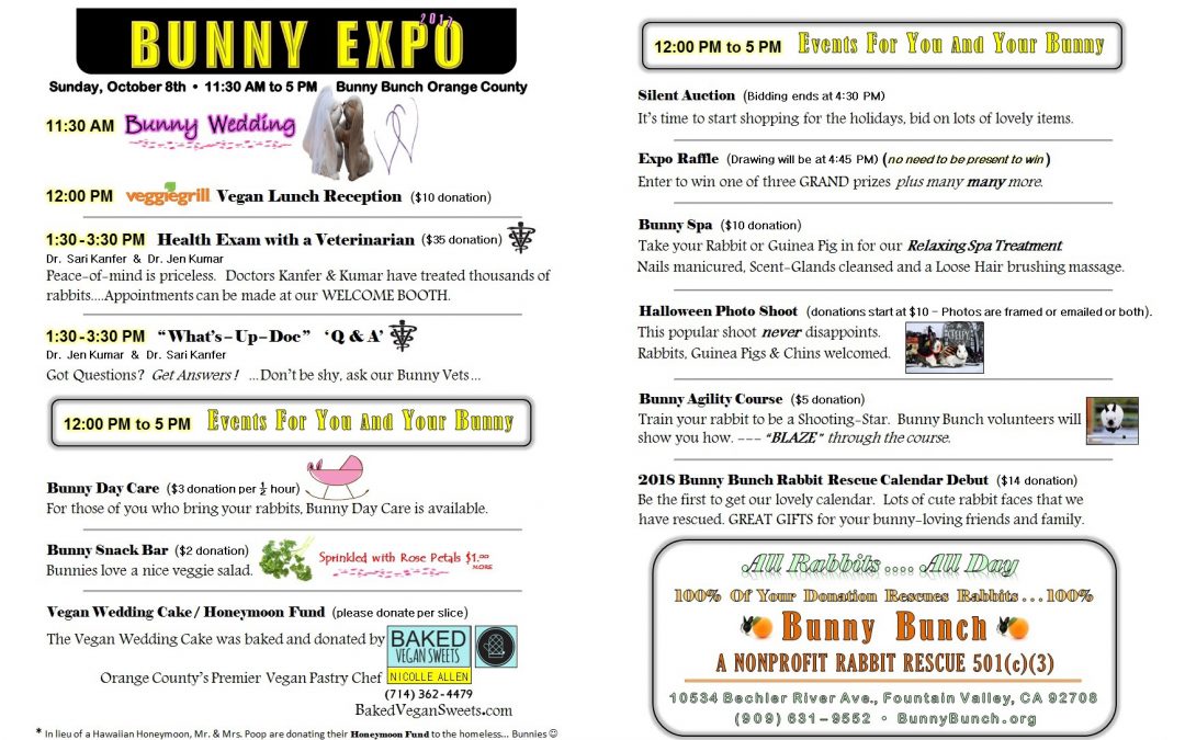 Bunny Expo Schedule
