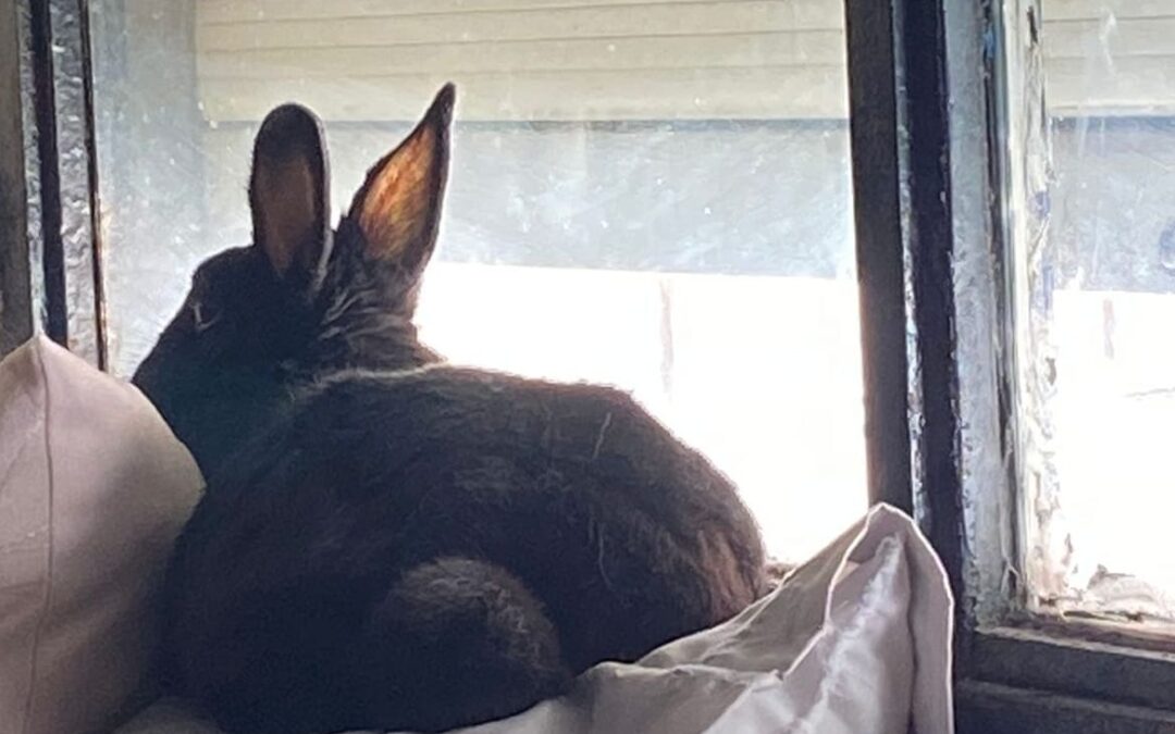 This Weeks Fluff Butt Friday!!