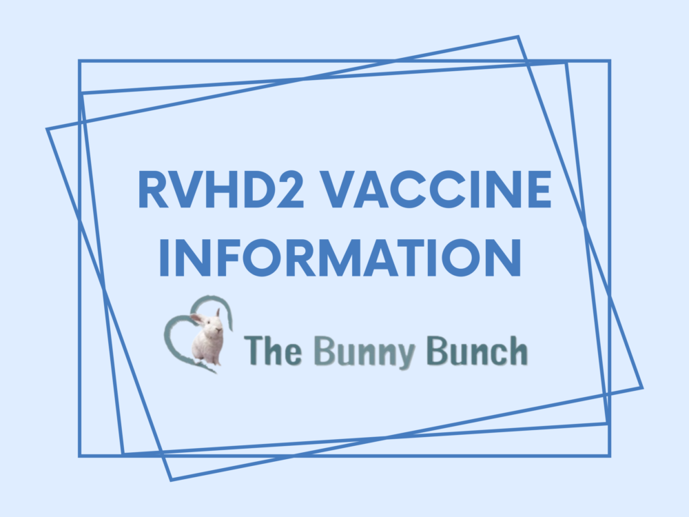 RVHD2 Vaccine Information! The Bunny Bunch