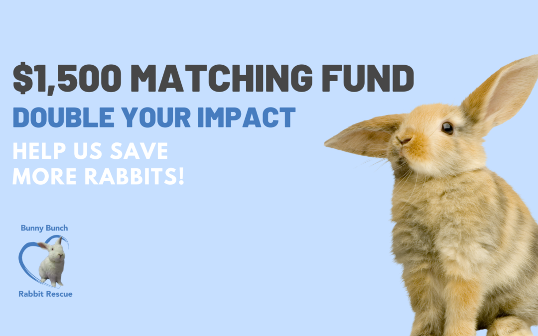 MATCHING FUND!