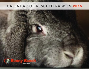 BB_2015 Calendar