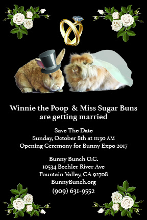 Winnie the Poop & Miss sugar Buns are getting married!