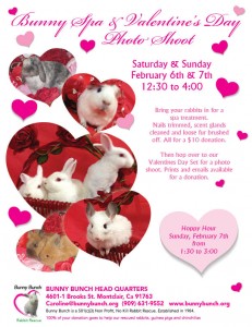 BB_Valentines Day 0116