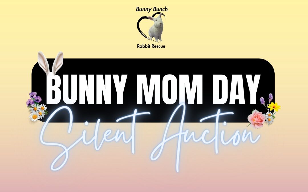 Bunny Bunch Silent Auction Live now!