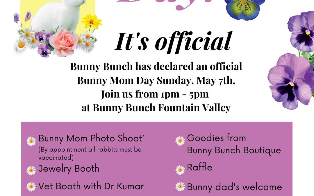 It’s Official! Bunny Mom’s Day is May 7!