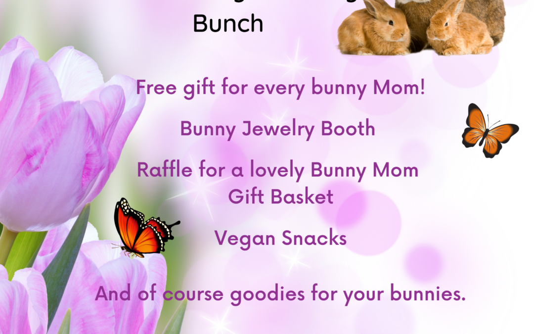 Bunny Bunch Bunny Mom Event!
