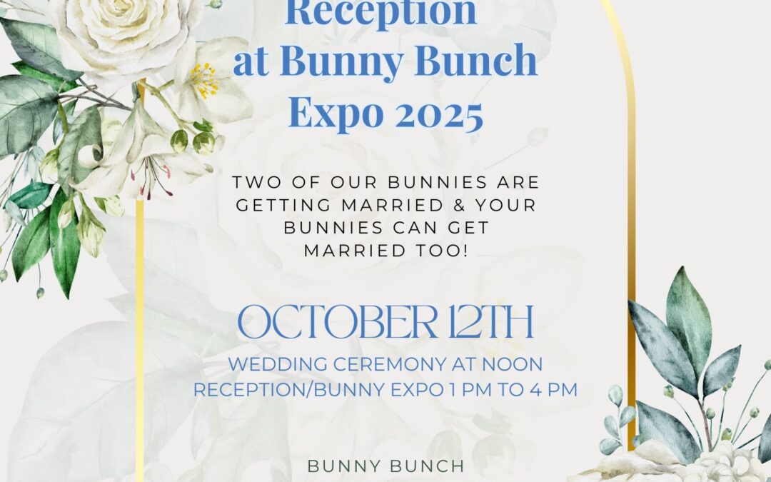 💕 You’re Invited to the Bunny Wedding, Reception & Bunny Expo 2025!