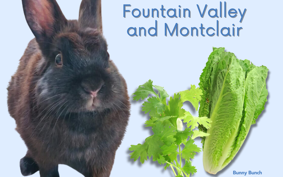 Veggie Donations Needed!