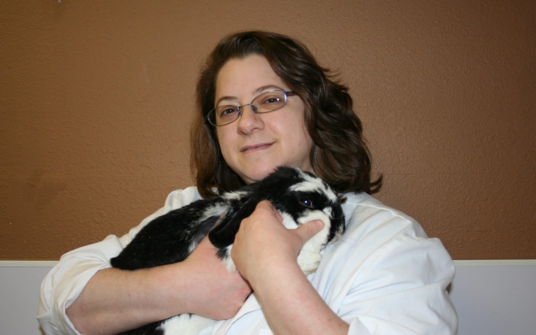 BOOK A HEALTH CHECK AT BUNNY EXPO! 🐰