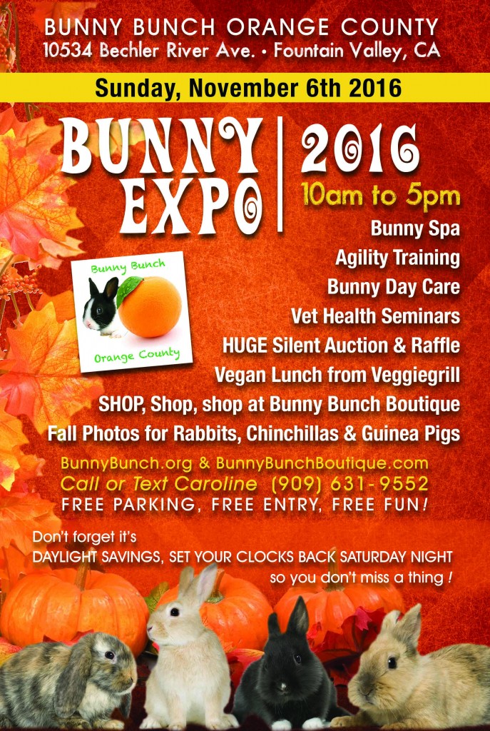 FallExpo_2016_Flyer_12x18_Final (1)