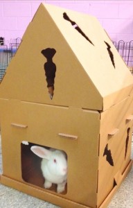 04 Hidy House