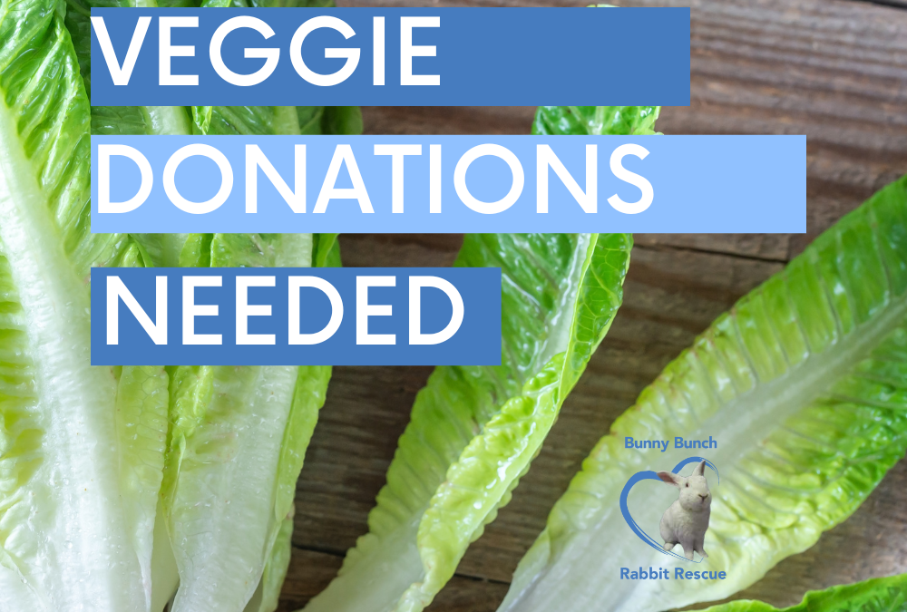 VEGGIES NEEDED!