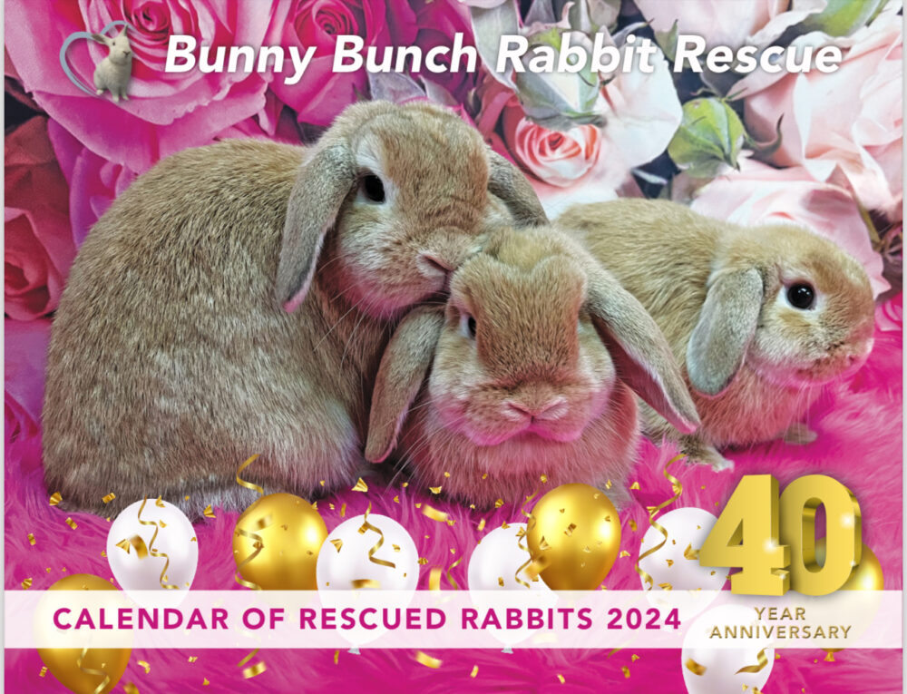 2024 Calendar NOW ACCEPTING PREORDERS! The Bunny Bunch