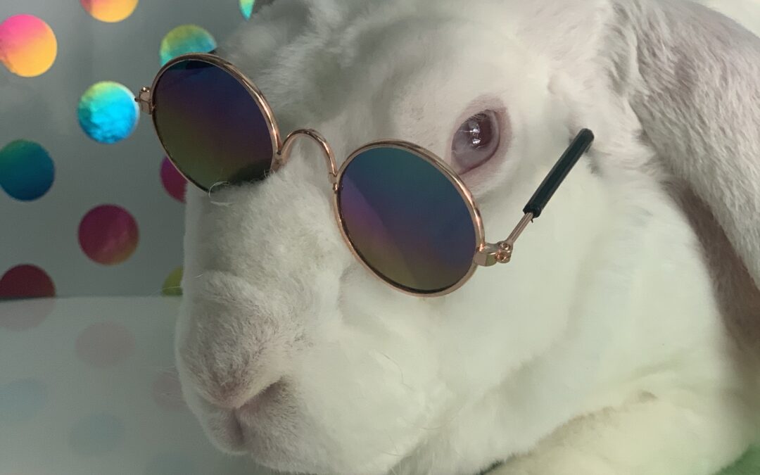 Keep your rabbits cool!