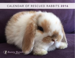 Calendar Template