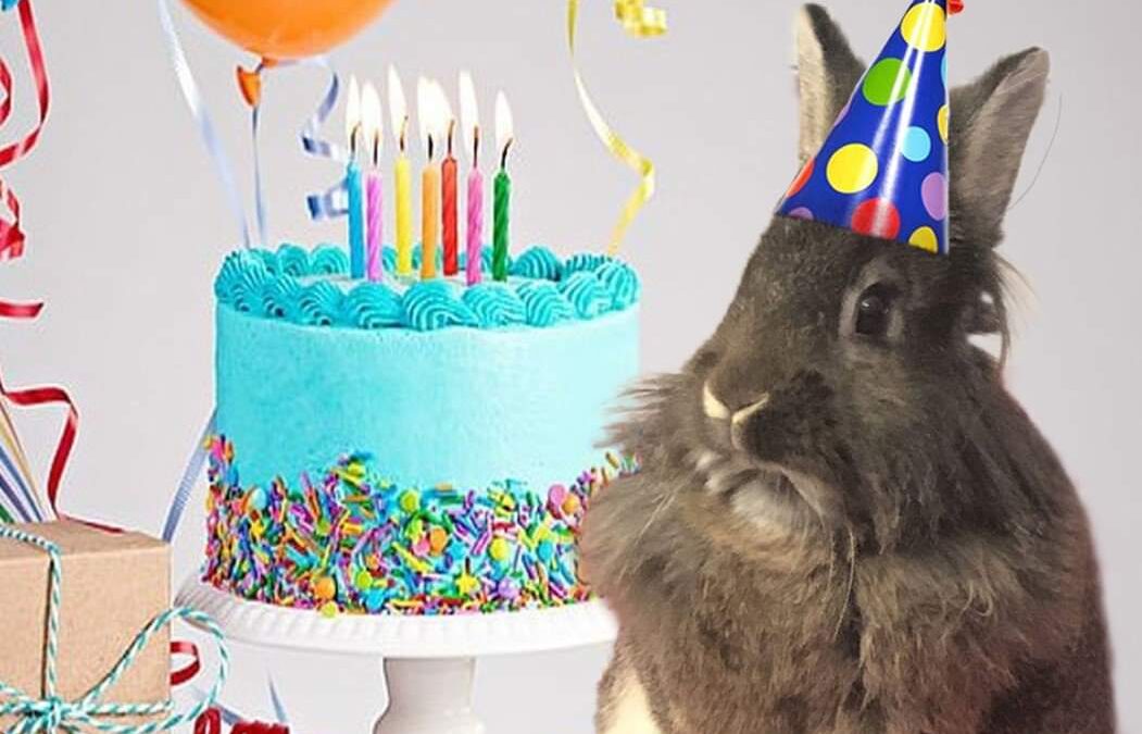 Happy Birthday, Clair Bear!