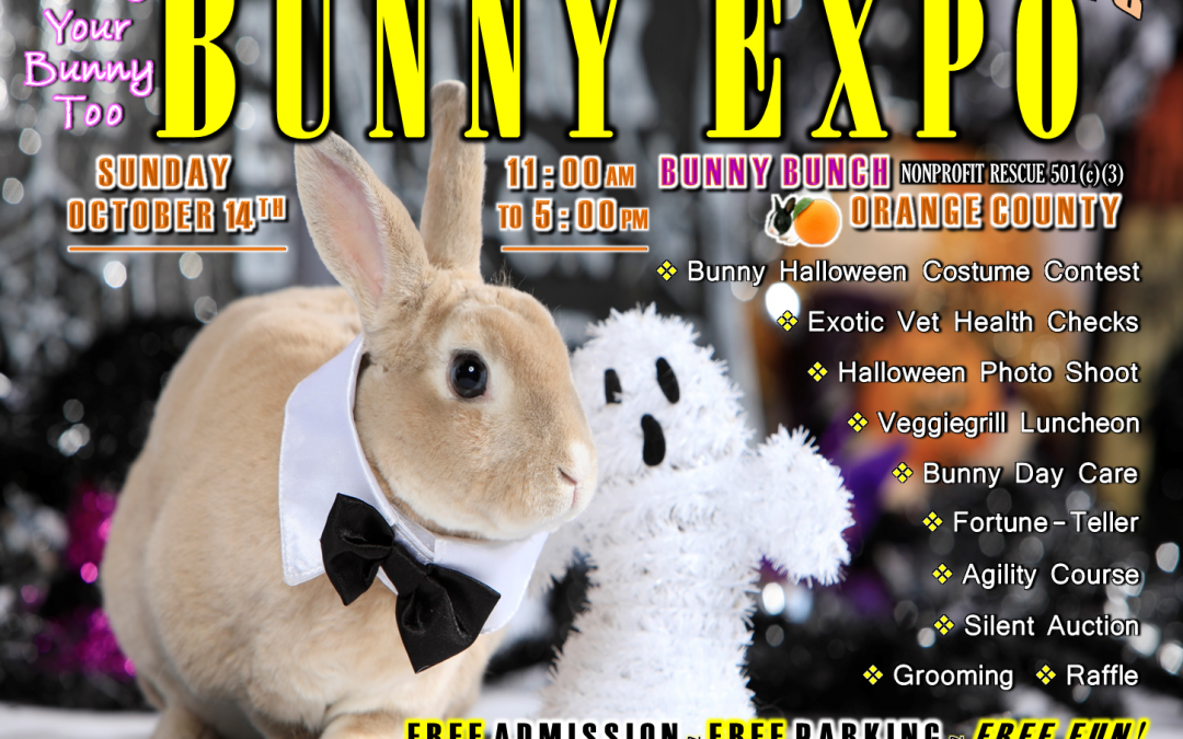 Bunny Bunch Expo 2018 Flyer