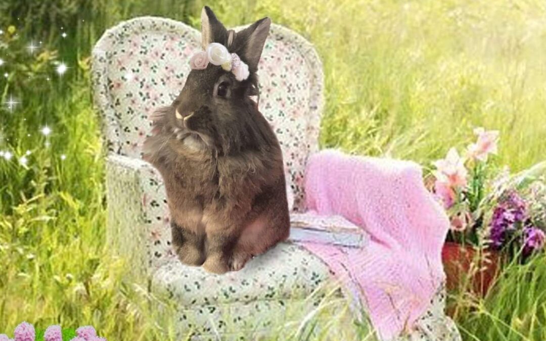 It’s the first day of Spring!