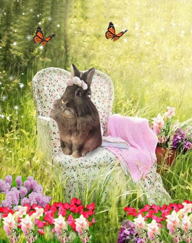 It's the first day of Spring! - The Bunny Bunch