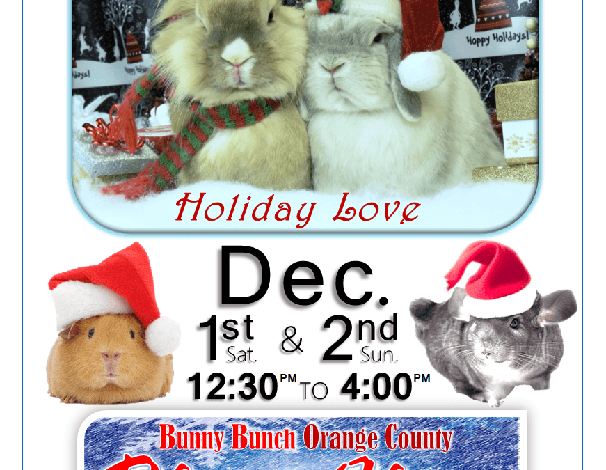 December 1st & 2nd photoshoot