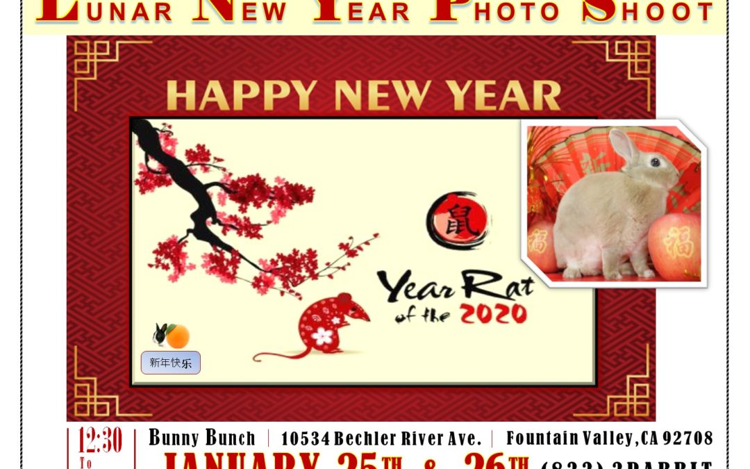 Lunar New Year Photo Shoot