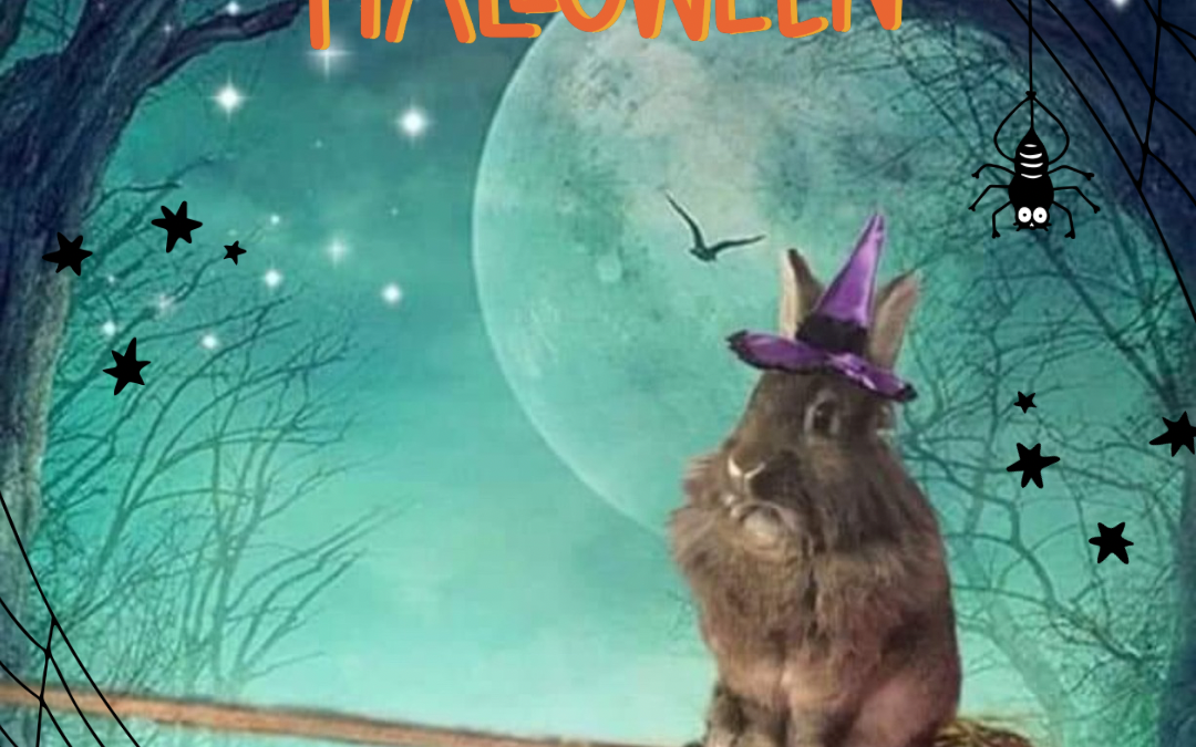 👻🕸️ Hoppy Halloween! 🕸️👻