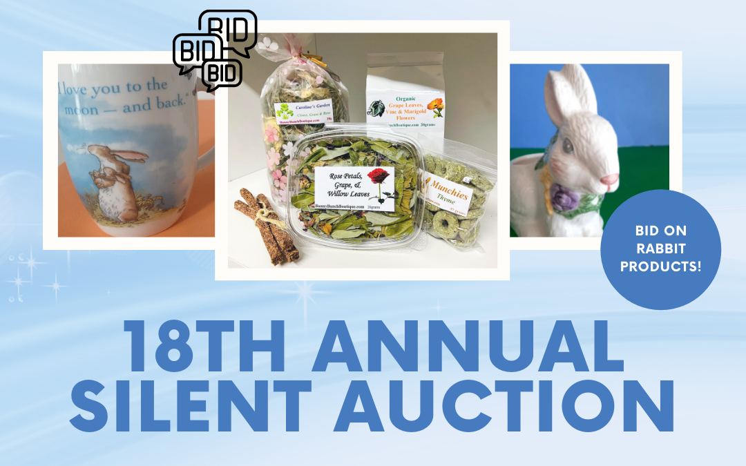 2021 Silent Auction Date!
