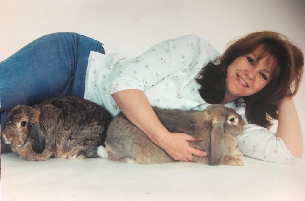 Caring for senior rabbits