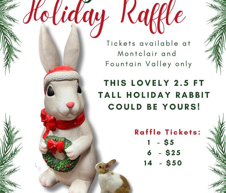 Bunny Bunch Raffle Announcement!