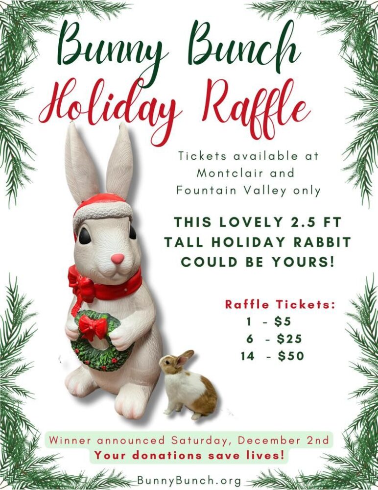 Bunny Bunch Raffle Announcement! The Bunny Bunch