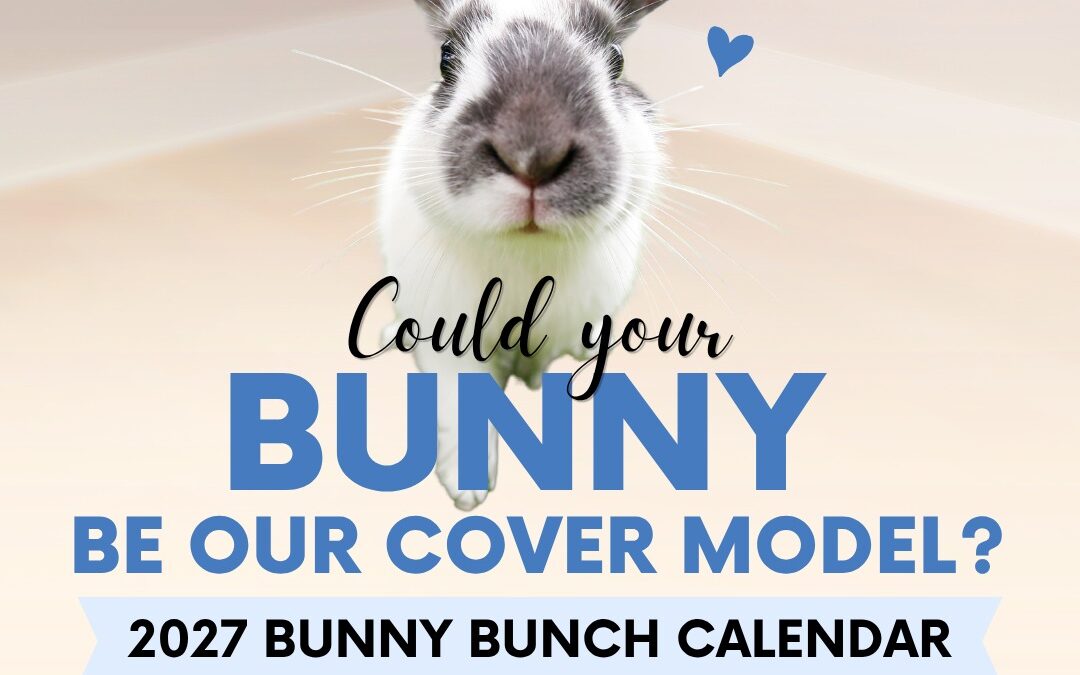 Hoppy Hour is back in 2026!