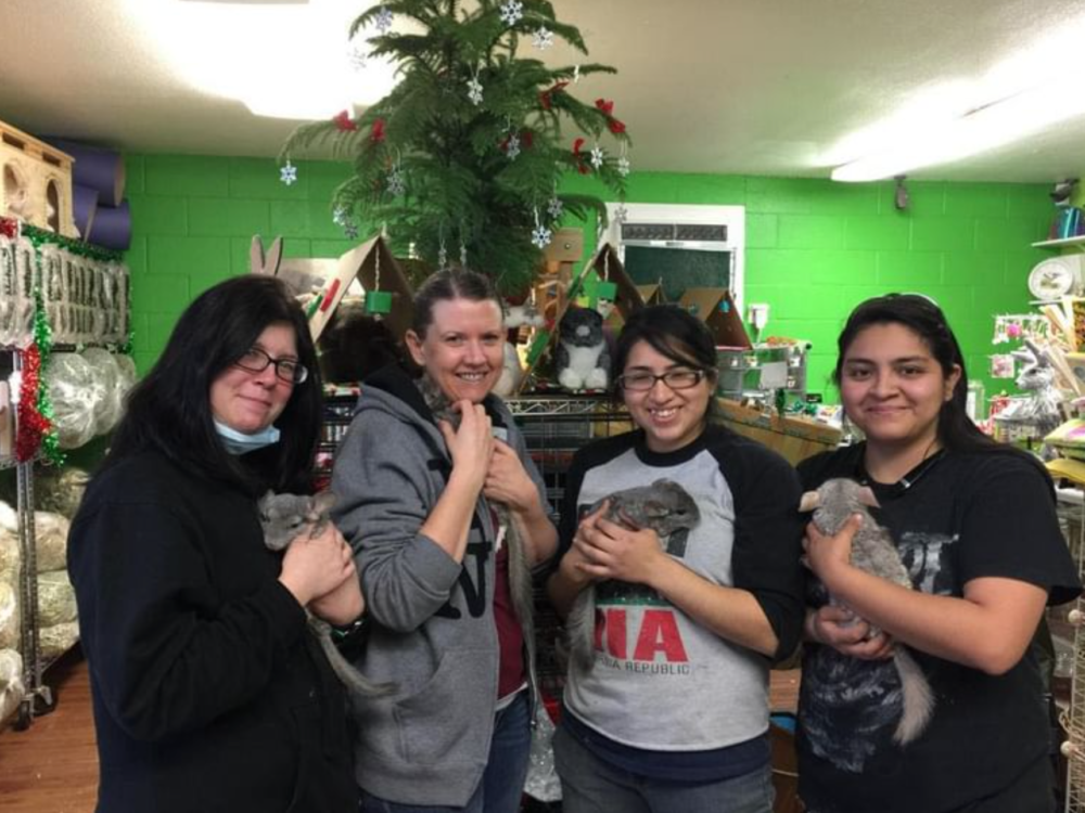 Chinchilla Rescue Near Me