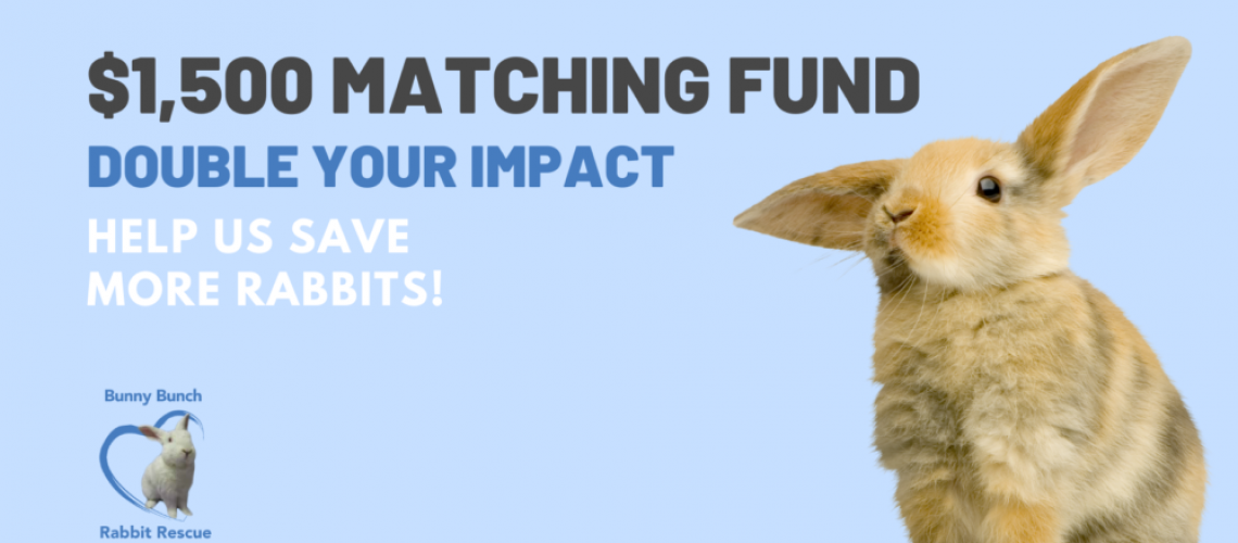 BB Matching Fund FB Cover