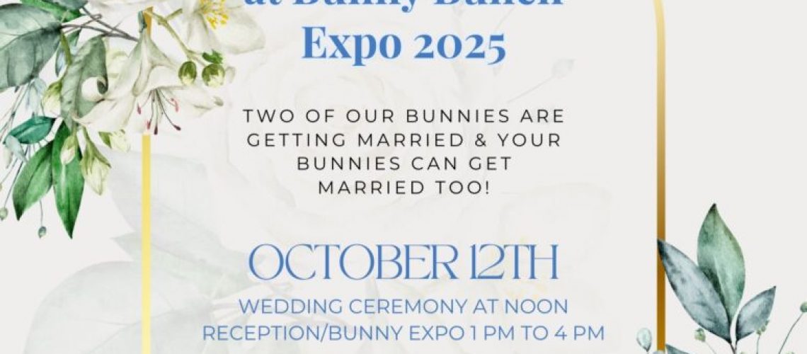 Bunny wedding