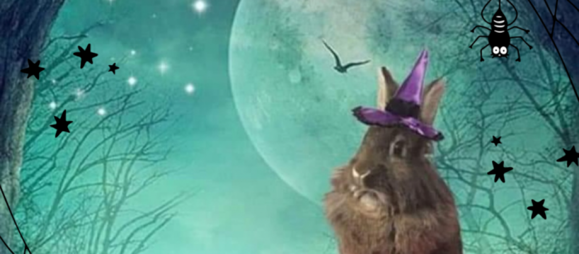 Orange Black Illustrated Modern Trick or Treat Halloween Instagram Post Orange Black Illustrated Modern Trick or Treat Halloween Instagram Post