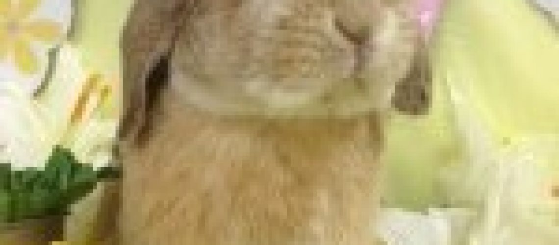 photo (19)