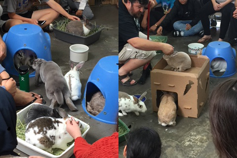 Hoppy Hour at Bunny Bunch Fountain Valley | Oct 29th
