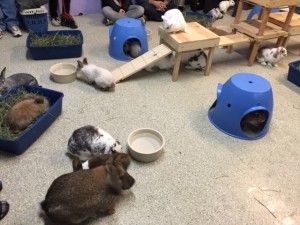 image1 (1)