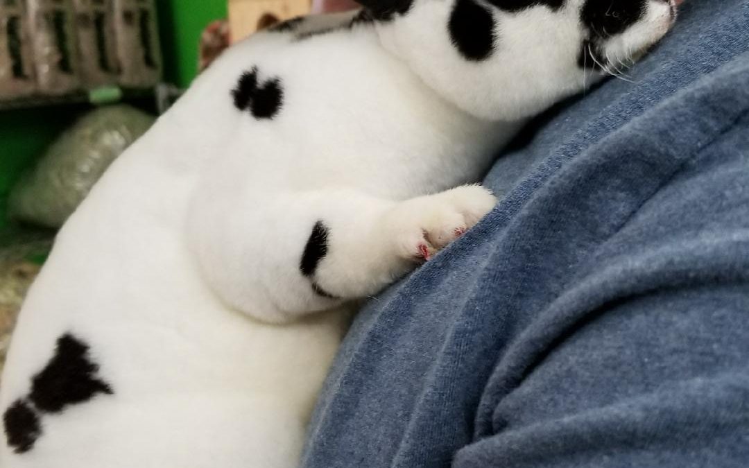 Just rescued!