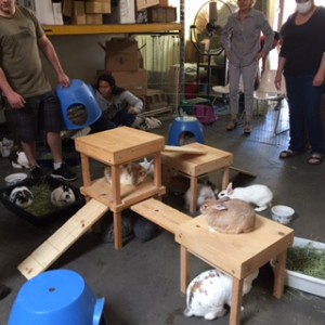 image2 (22)