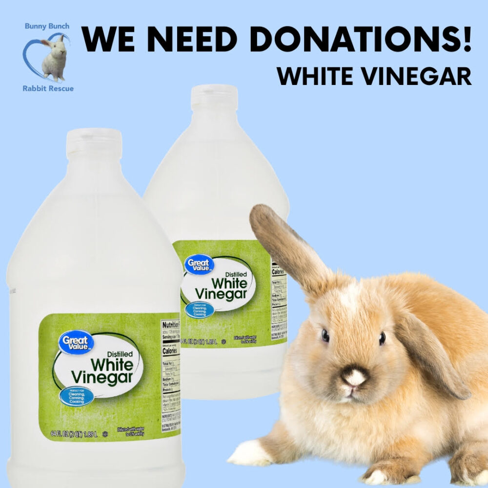 Donations Needed! The Bunny Bunch